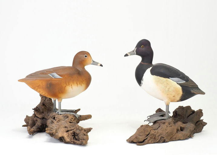 John Sharon — 1/3 Ringbill Pair