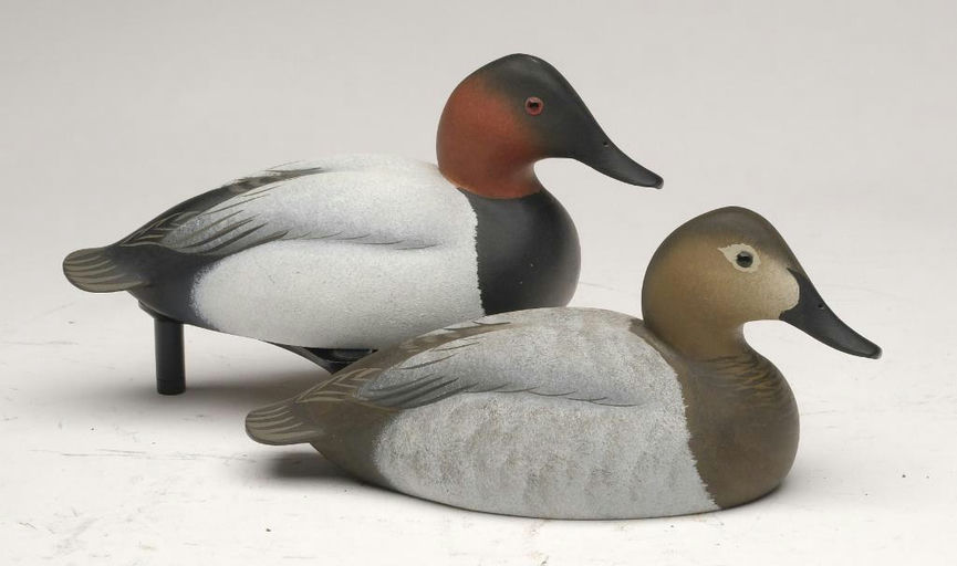 Oliver Lawson – Pair of Canvasback – 2023