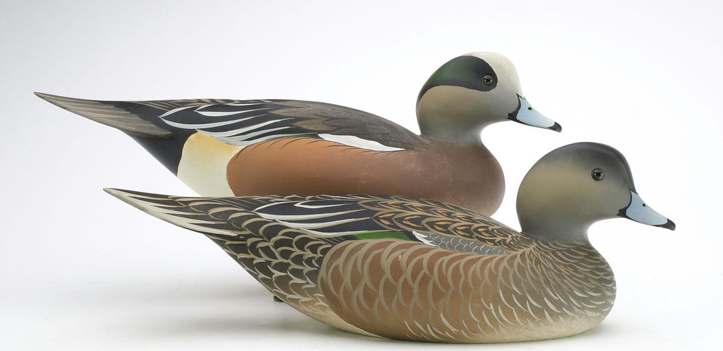 Oliver Lawson – Pair of Wigeon – 2024