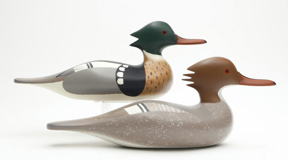 Byron Bodt — Red-breasted Merganser
