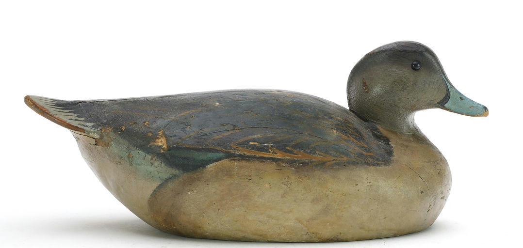 Ward Brothers – Wigeon – 2024