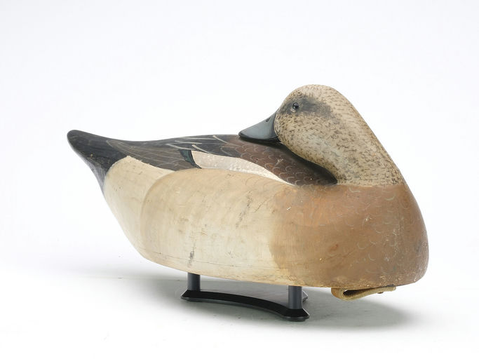 Mark McNair – Preening Widgeon – 2024