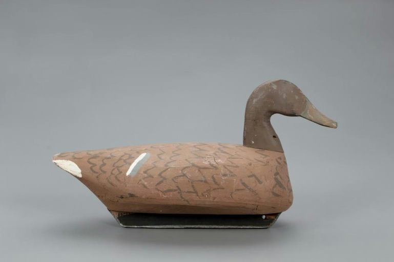Callie O'Neal – Mallard Hen – 2021