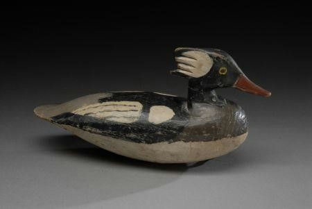 Doug Jester – Hooded Merganser Drake – 2007