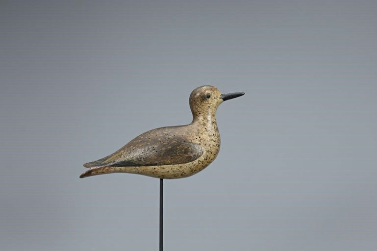 John Dilley – Exceptional Calling Golden Plover – 2019