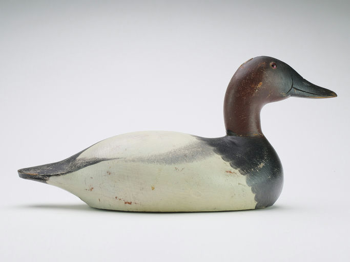 Mason Decoy Factory – Canvasback – 2024