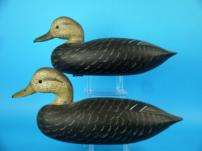 Charles R. Birdsall – Black Duck Pair – 2026