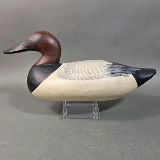 Paul Gibson – Canvasback – 2026