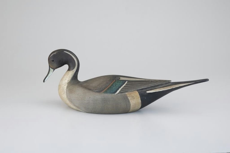 Cameron McIntyre – Outstanding Pintail – 2026