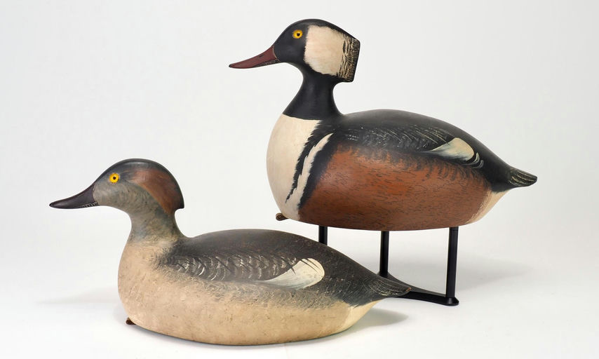 Mike Valley — Hooded Merganser Pair