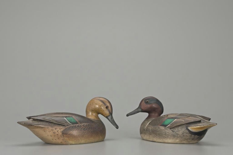 Lloyd Johnson – Green-winged Teal Pair – 2018