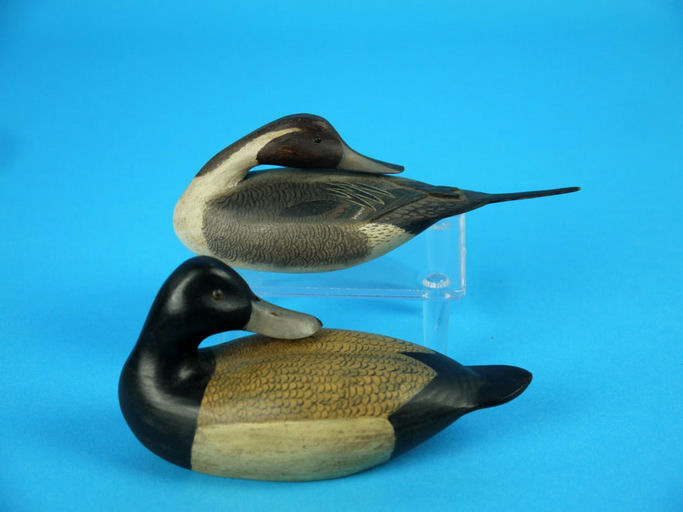 William Bill Johnson – Miniature Broadbill Drake – 2026