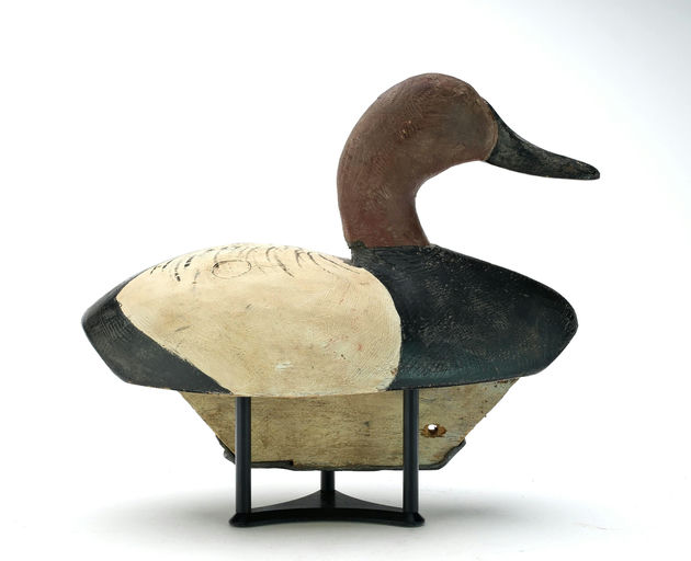Duncan Ducharme – Canvasback – 2025