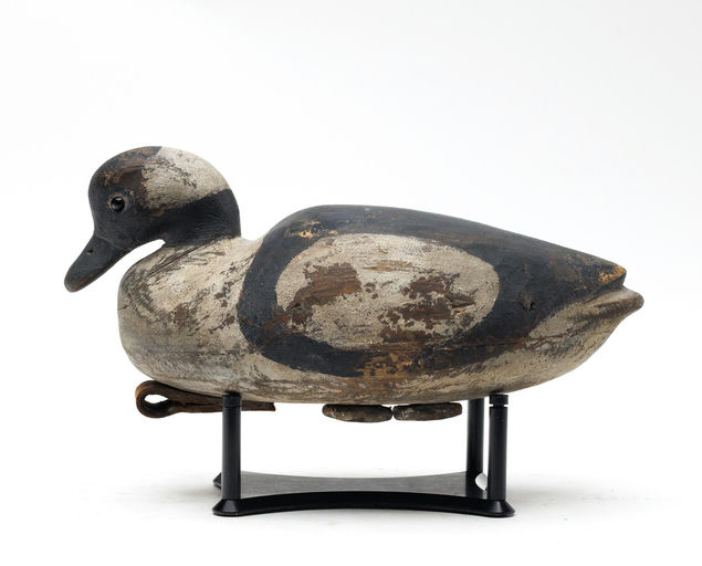 Reggie Birch – Bufflehead – 2026