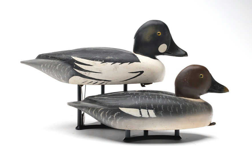 David W. Nichol – Goldeneye – 2025