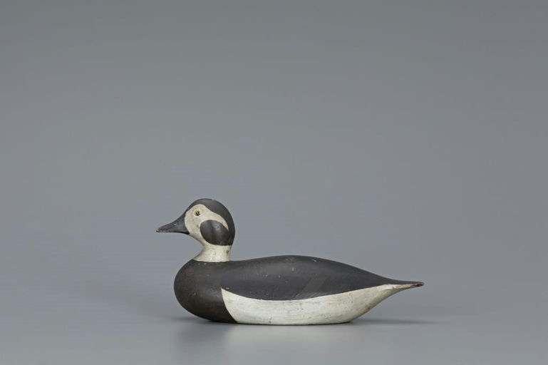 Joseph Lincoln – The Spear Family Long-Tailed Hen – 2019