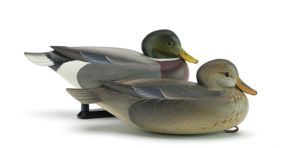 George Strunk – Pair of Mallard – 2024