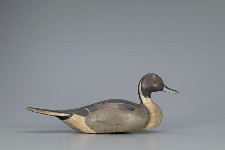Ward Brothers – Rare Beavertail Pintail Drake – 2019