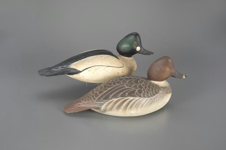 Ward Brothers – Goldeneye Pair – 2025