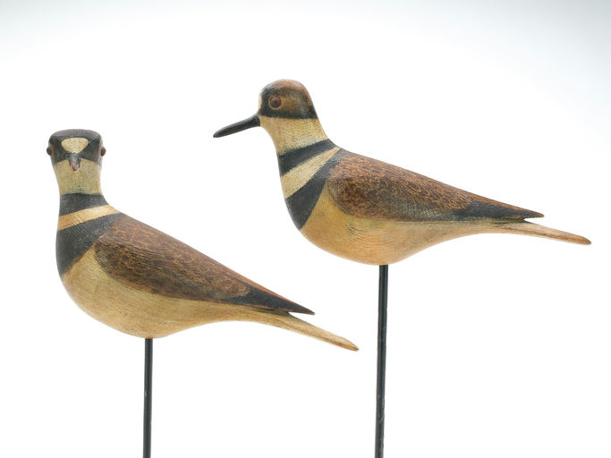 Mark McNair – Pair of Killdeer – 2025