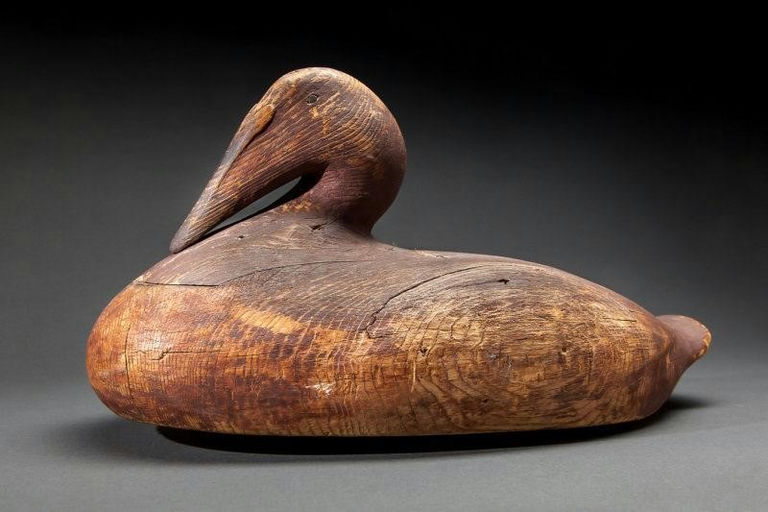 Gus Wilson – Eider Hen – 2014
