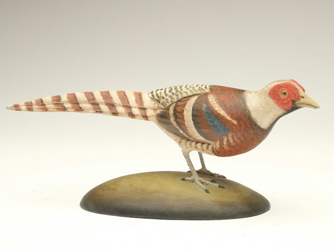 Frank Finney – Miniature Elliot's pheasant – 2023