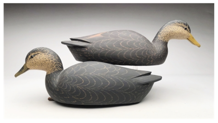 Grayson Chesser – Two Swimming Black Ducks – 2020