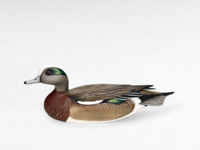 Jim Schmiedlin – Wigeon Drake – 2024