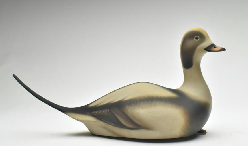 Sean Sutton – Long Tail Duck – 2023