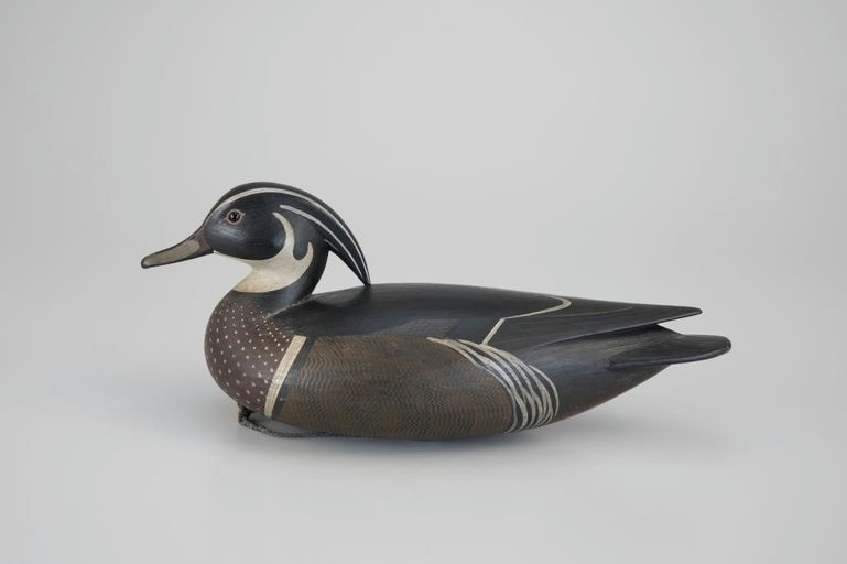 Mark McNair – Wood Duck – 2026