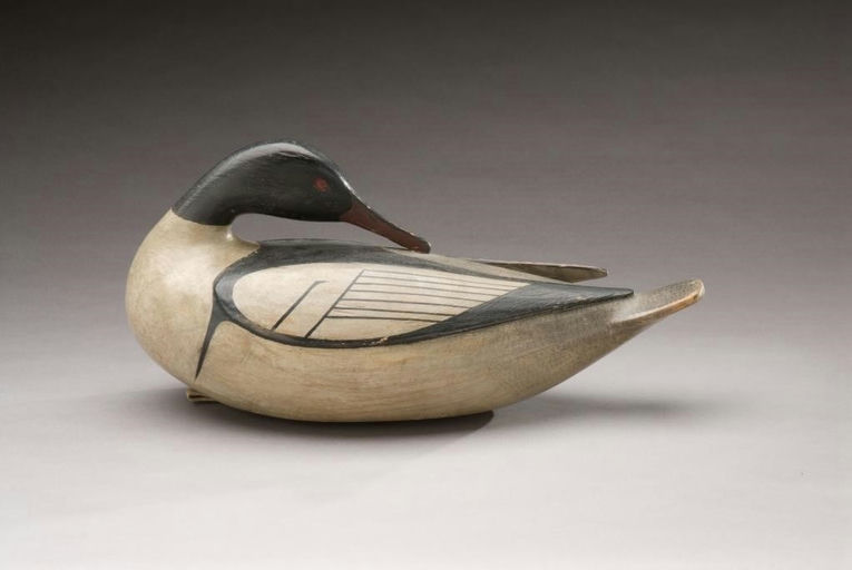 Mark McNair – Preening Merganser – 2010