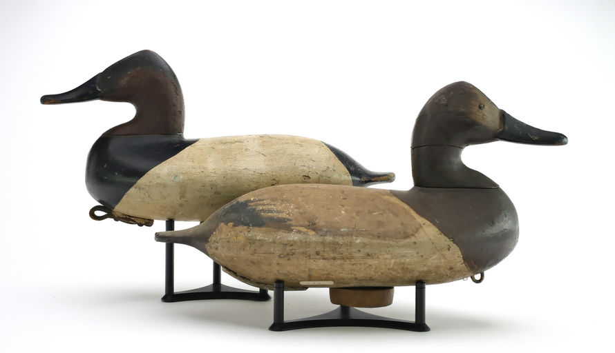 William Heverin – Pair of Canvasback – 2025