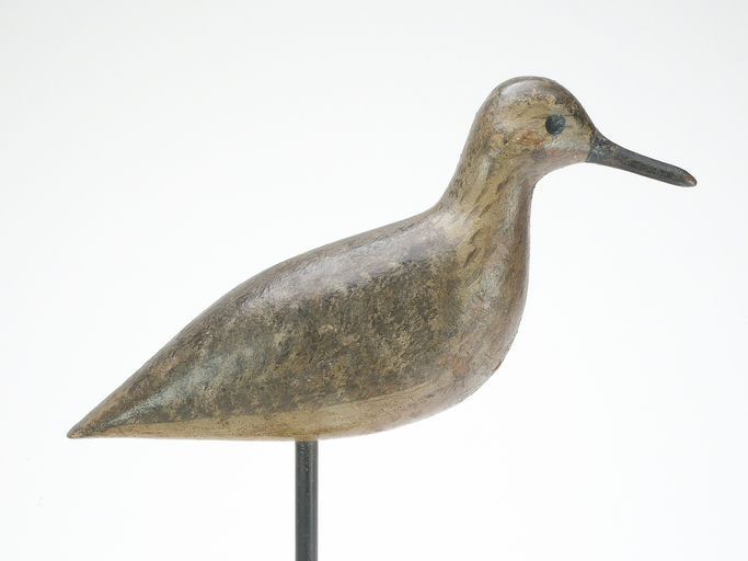 Harry V. Shourds – Snipe – 2023