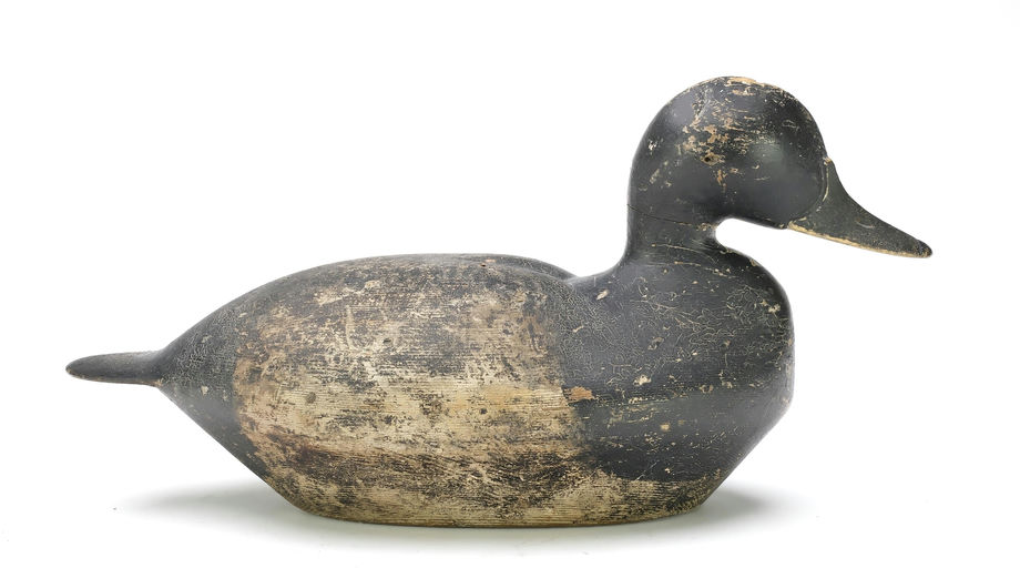 Nate Quillen – Scaup – 2025