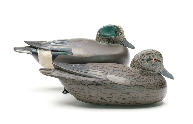 Jess Heisler — Wigeon