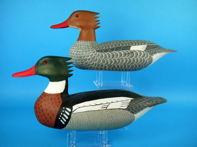 Harry V. Shourds – Red-Breasted Merganser Pair – 2026