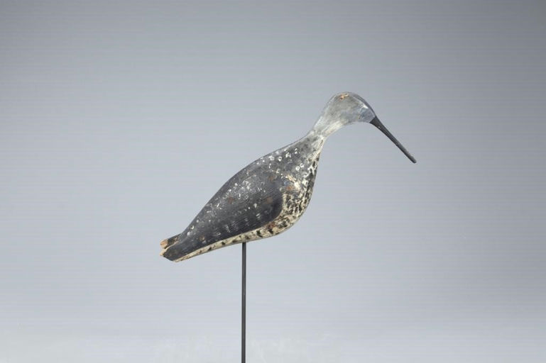Burr Family – Early Burr Yellowlegs – 2020