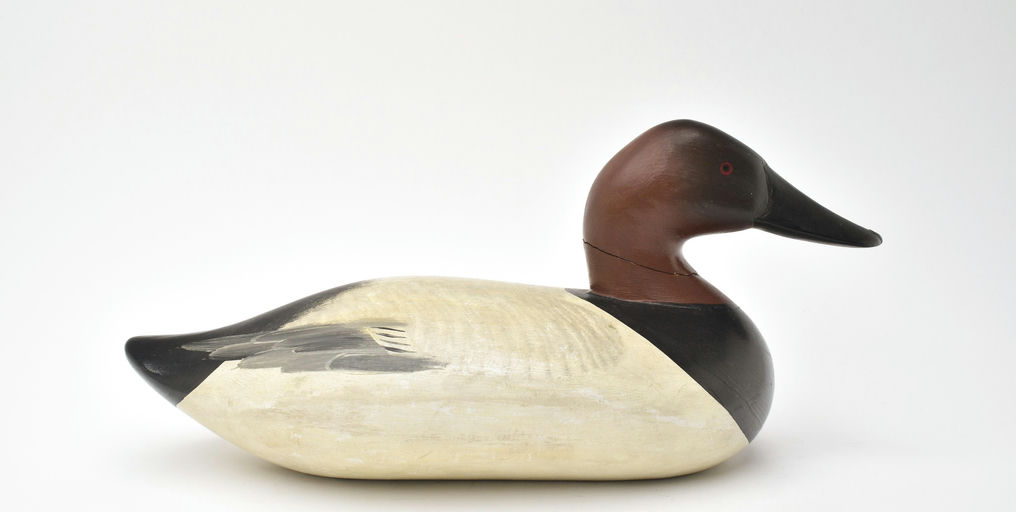 R. Madison Mitchell – Canvasback – 2025