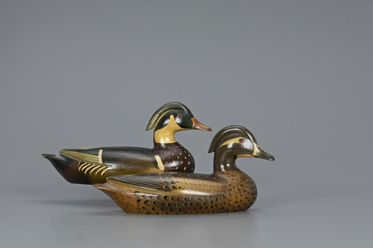 Charles Perdew – Rare Wood Duck Pair – 2019