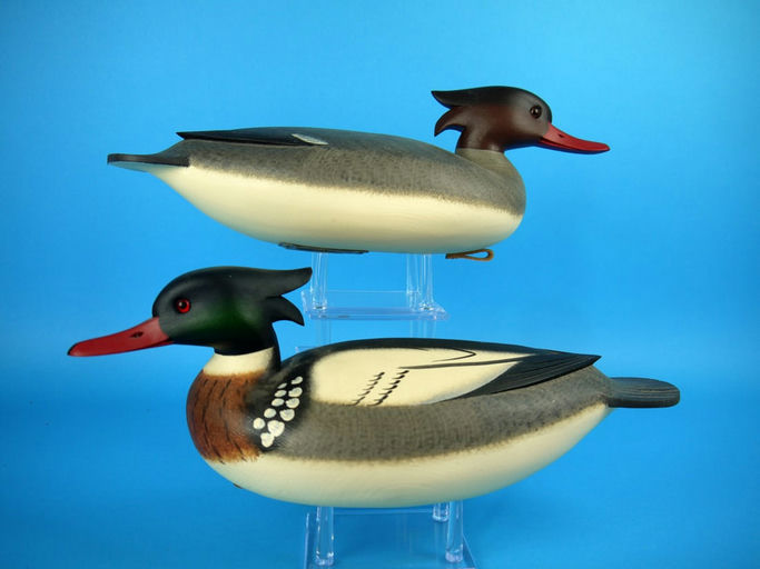 Rick Brown – Red-Breasted Merganser Pair, – 2026