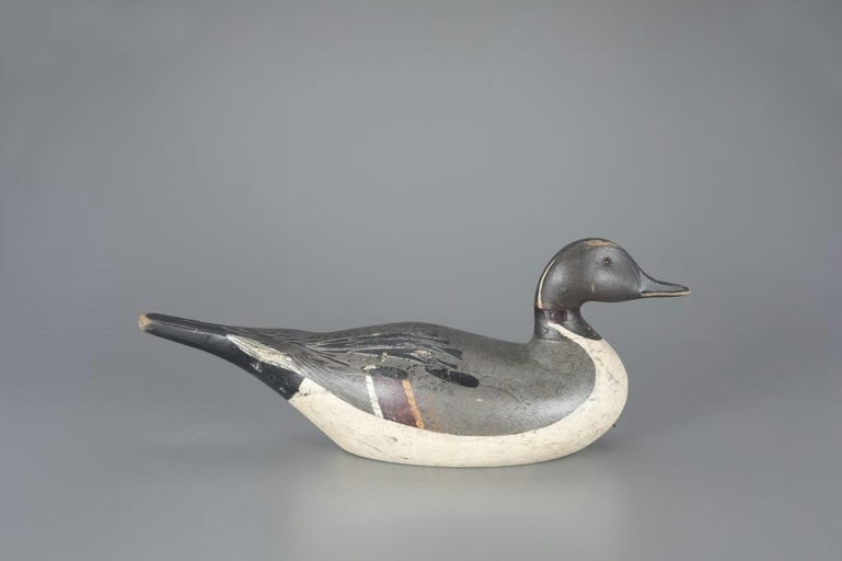Charles Bergman – Pintail – 2024