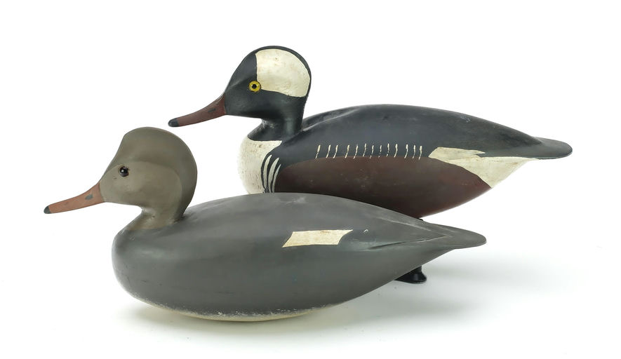 Hurley Conklin – Pair of Hooded Merganser – 2025
