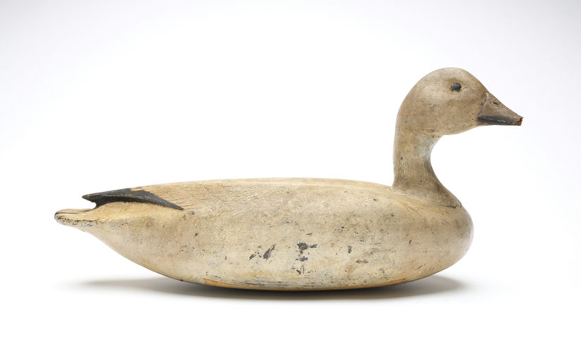 Enoch Reindahl – Snow Goose – 2026