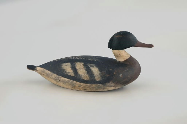 Samuel Squires – Squires-rig Merganser – 2026