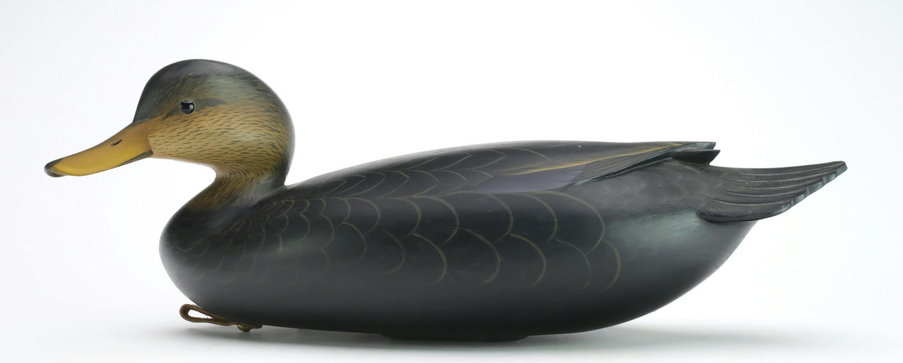 George Strunk – Black Duck – 2024