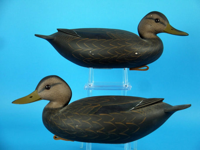 Rick Brown – Black Duck Pair, – 2026