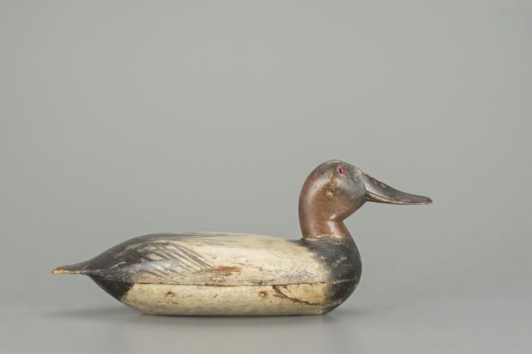 Robert Elliston – Canvasback Drake – 2018
