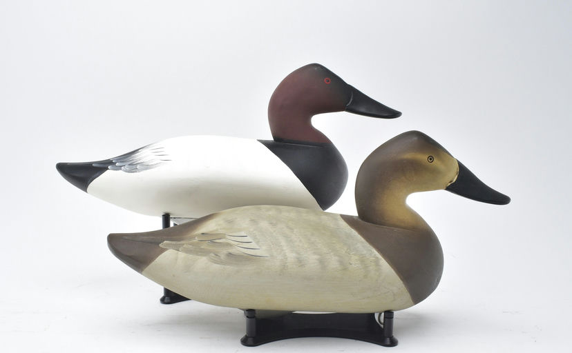 Charlie Joiner – Pair of Canvasbacks – 2025