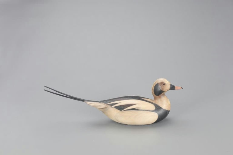 Bill Gibian – Long-Tailed Duck – 2021