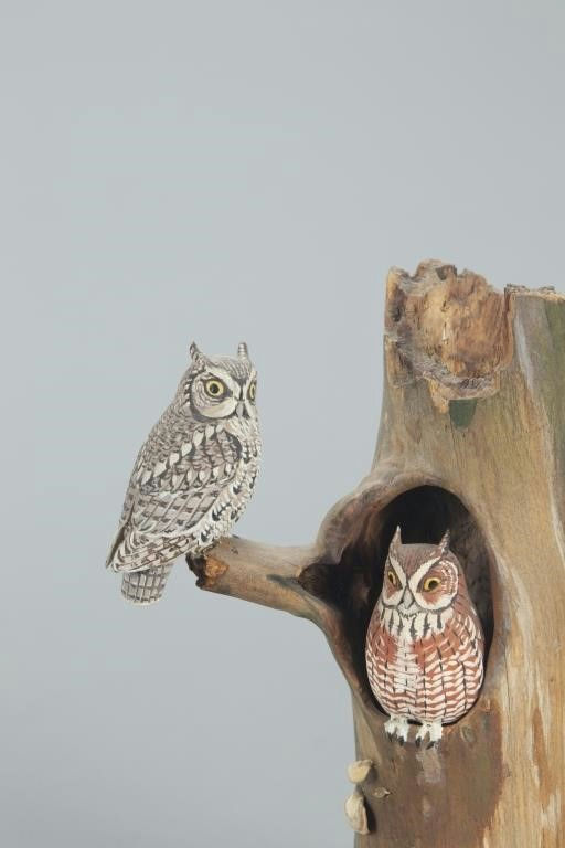 Allen J. King – Rare Miniature Screech Owl Pair – 2022
